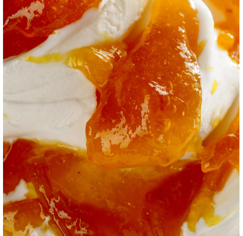 Наповнювач для морозива Joyfruit Arancia Joygelato 3,5 кг Наповнювач для морозива Апельсин Joyfruit Arancia Joygelato 3,5 кг